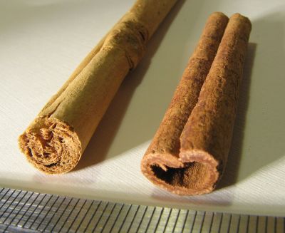 Ceylonzimt vs. Cassiazimt